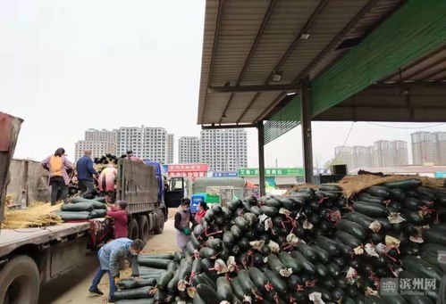 保供穩(wěn)價(jià)惠民生，抗擊疫情——濱州供銷(xiāo)在行動(dòng)